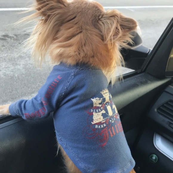 Meet your Posher Myro! - Picture 2 of 5